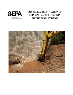Control and Mitigation of Drinking Water Losses in Distribution
