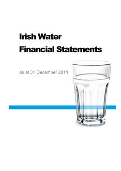 Irish Water financial statements 2014