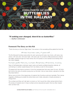 butterflies in the hallway