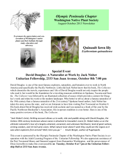 Olympic Peninsula Chapter Quinault fawn lily
