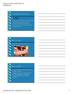 The Basics of Genetics RBC vs WBC RBC vs WBC
