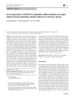 Overexpression of PaHAP3A stimulates differentiation of ectopic