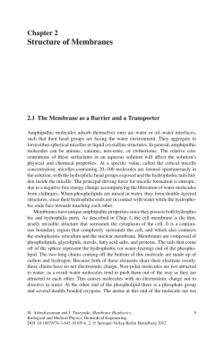 Structure of Membranes