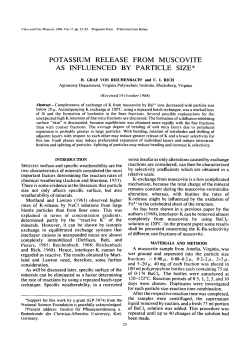 potassium release from muscovite as influenced by particle size