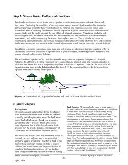 Step 3: Banks and Buffers