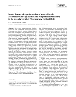 In-situ Raman microprobe studies of plant cell walls