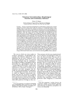 Teleostean Interrelationships, Morphological Function and