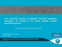 From contractile vacuoles to pseudocyst formation