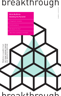 Brick By Brick: Building the Pyramid