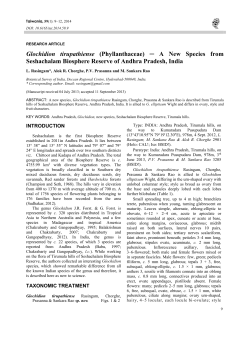 Glochidion tirupathiense (Phyllanthaceae) A New Species from