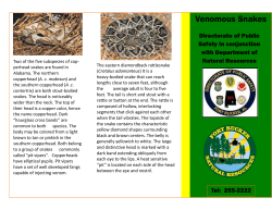 Venomous Snakes - Sustainable Fort Rucker