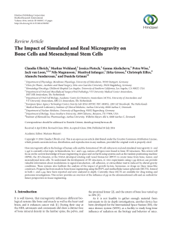 The Impact of Simulated and Real Microgravity on Bone Cells and