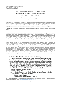 the authorship and type locality of the banded leaf monkey, presbytis