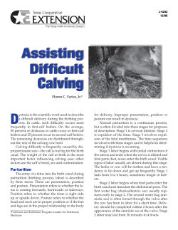 Assisted Calving