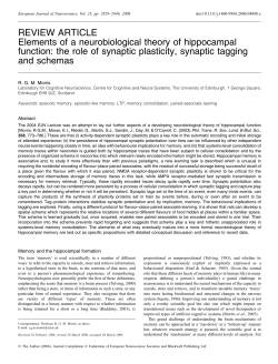 Elements of a neurobiological theory of hippocampal function: the