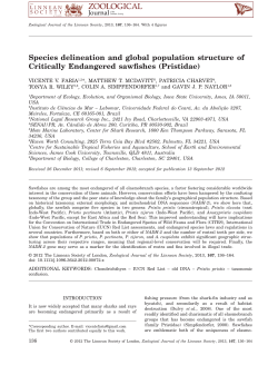 Species delineation and global population