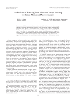 Mechanisms of Same/Different Abstract-Concept