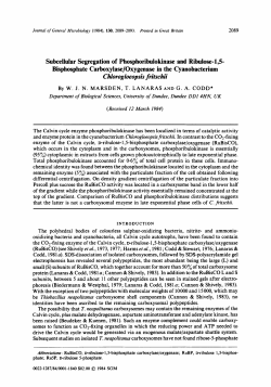 Subcellular Segregation of Phosphoribulokinase and