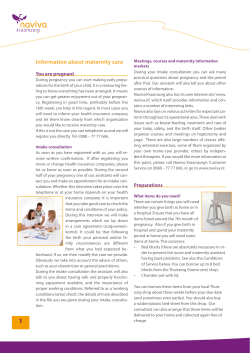1 Information about maternity care