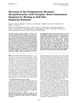 Structure of the Progesterone Receptor