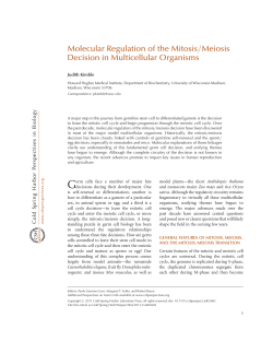 Molecular Regulation of the Mitosis/Meiosis Decision in Multicellular