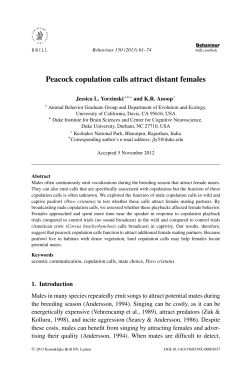 Peacock copulation calls attract distant females