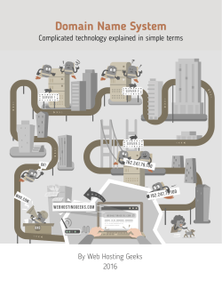 Domain Name System (DNS) Guide