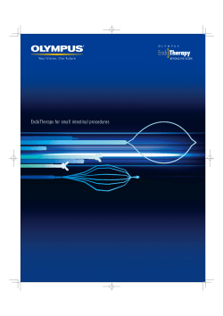 EndoTherapy for small intestinal procedures