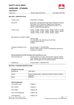 gasoline - ethanol - Petro