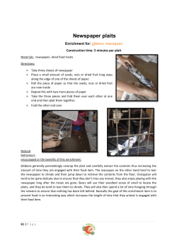 Enrichment catalogue 4 Food Based Enrichment
