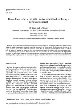 Home base behavior of rats (Rattus norvegicus) exploring a novel