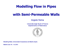 Modelling Flow in Pipes with Semi-Permeable Walls