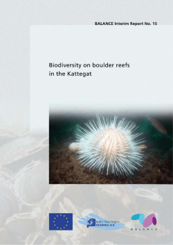 Biodiversity on boulder reefs in central Kattegat