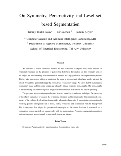 On Symmetry, Perspectivity and Level-set based