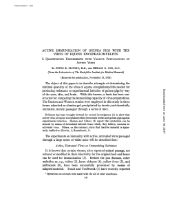 ACTIVE IMMUNIZATION OF GUINEA PIGS WITH THE VIRUS