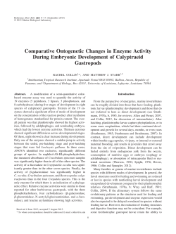 Comparative Ontogenetic Changes in Enzyme Activity During