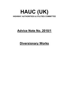 Diversionary Works Advice Note 2010