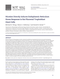 Nicotine Directly Induces Endoplasmic Reticulum Stress Response