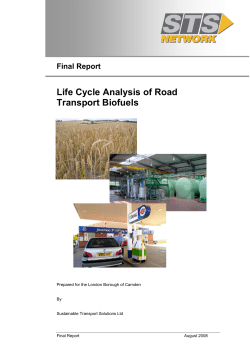 Life Cycle Analysis of Road Transport Biofuels