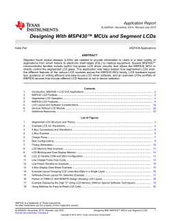Designing With MSP430&trade; MCUs and Segment