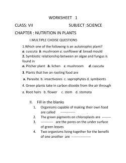 worksheet 1 class: vii subject :science chapter : nutrition in plants