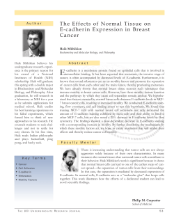 The Effects of Normal Tissue on E-cadherin - UROP