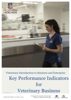 Key Performance Indicators for Veterinary Business