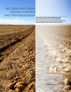 bacterial and fungal diseases of potato and their management