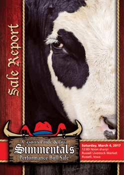 Sale Report - EDJE Sales