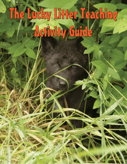 The Lucky Litter Teaching Activity Guide