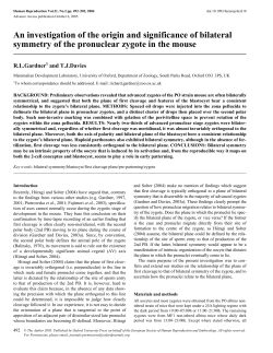 An investigation of the origin and significance of bilateral symmetry
