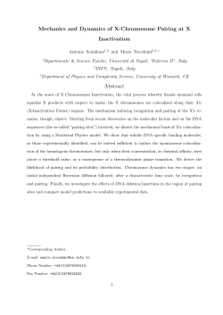 Mechanics and Dynamics of X-Chromosome Pairing at X