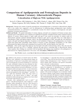 Comparison of Apolipoprotein and Proteoglycan Deposits in Human