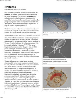 In 21st-century systems of biological classification